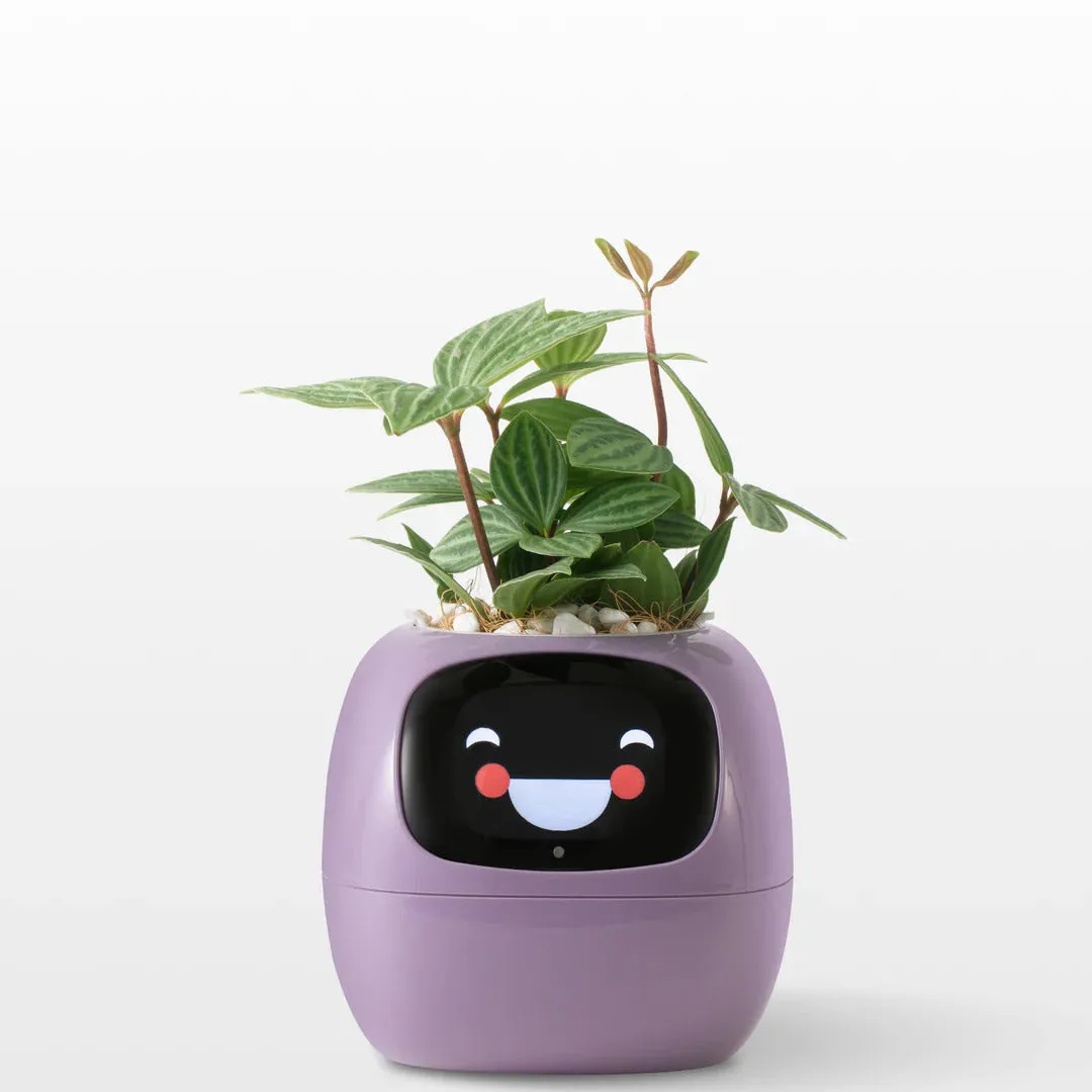 Smart Planter Ivy: AI-Powered Plant Care, Flowerpot Easy and Fun