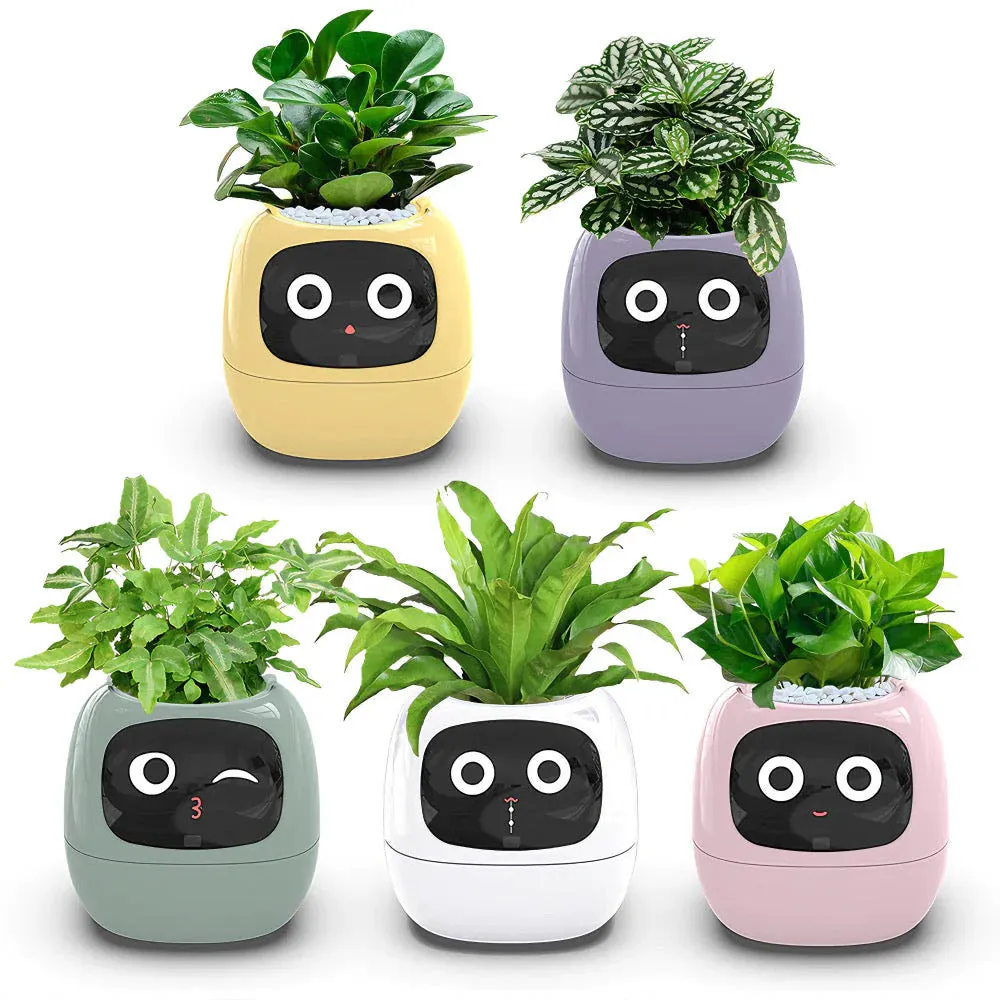 Smart Planter Ivy: AI-Powered Plant Care, Flowerpot Easy and Fun