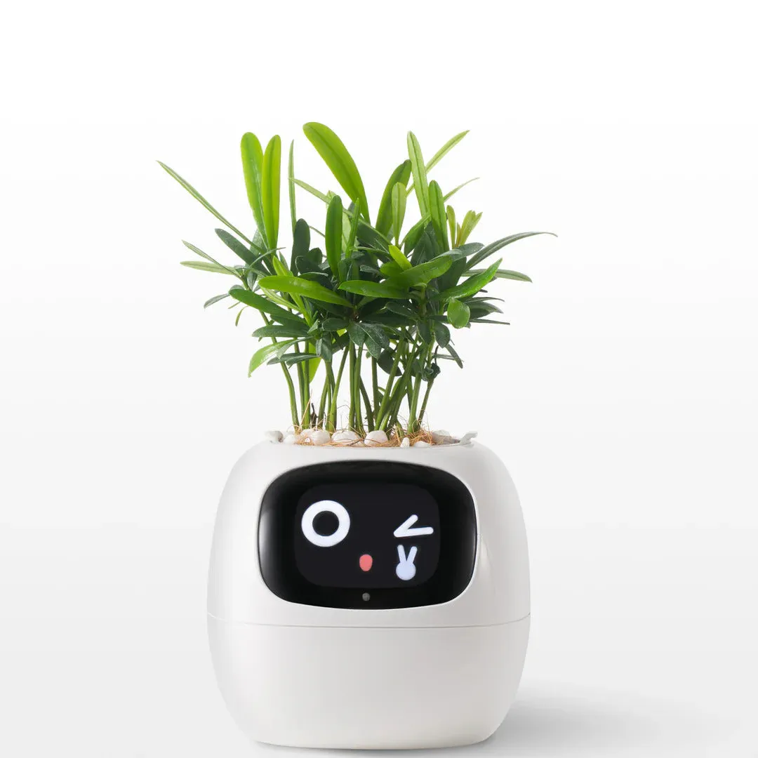 Smart Planter Ivy: AI-Powered Plant Care, Flowerpot Easy and Fun